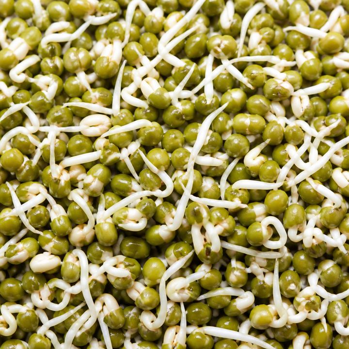 Green gram